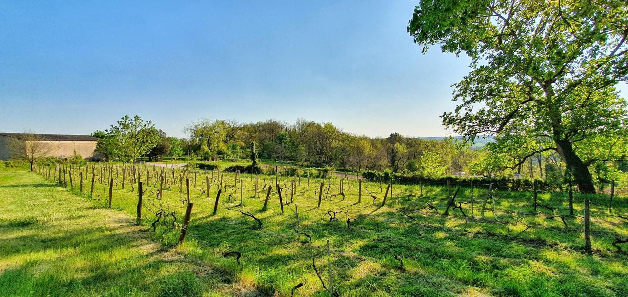 فيلا Maison De Vacances Chene Auriac-du-Périgord المظهر الخارجي الصورة